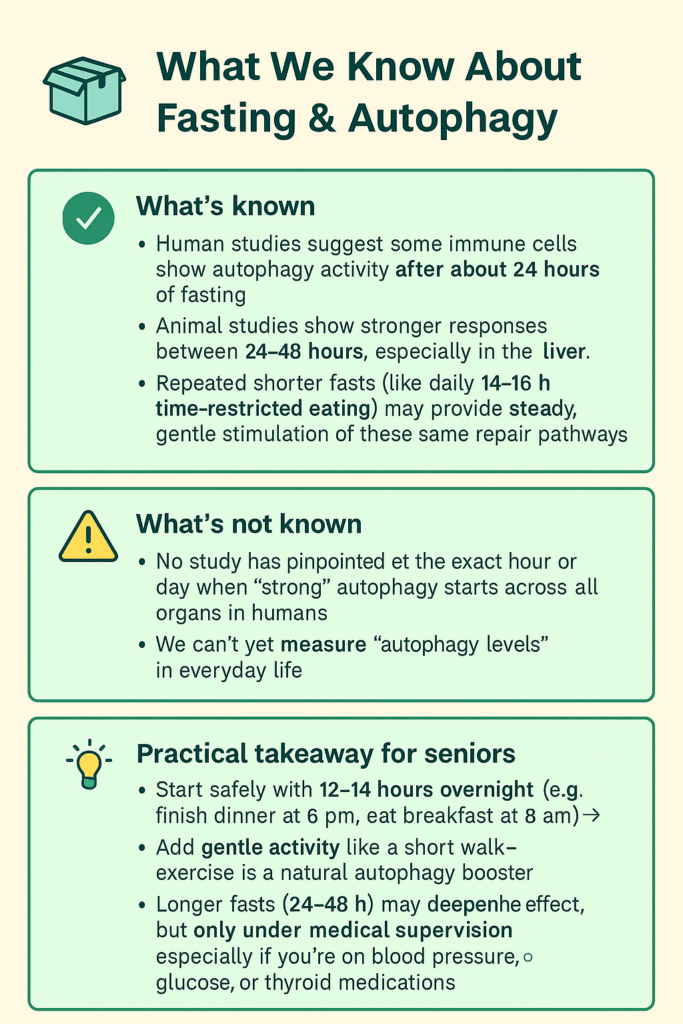 call out on what is known about Autophagy and Intermittent Fasting